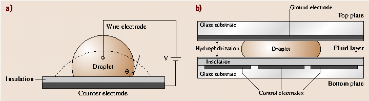 A978-3-540-29857-1_21_Fig1_HTML.png