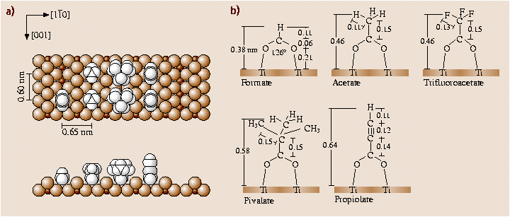 A978-3-540-29857-1_24_Fig24_HTML.png