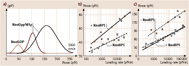 A978-3-540-29857-1_28_Fig11_HTML.png