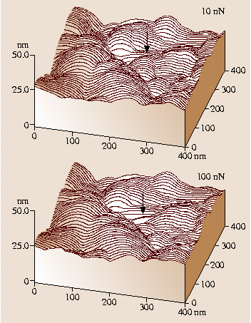 A978-3-540-29857-1_29_Fig47_HTML.png