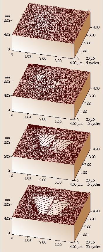 A978-3-540-29857-1_29_Fig55_HTML.png