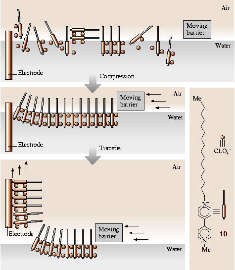 A978-3-540-29857-1_2_Fig12_HTML.png