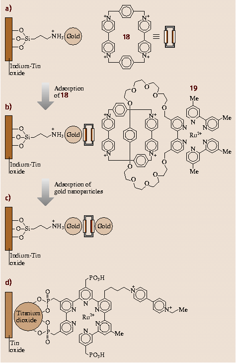 A978-3-540-29857-1_2_Fig17_HTML.png