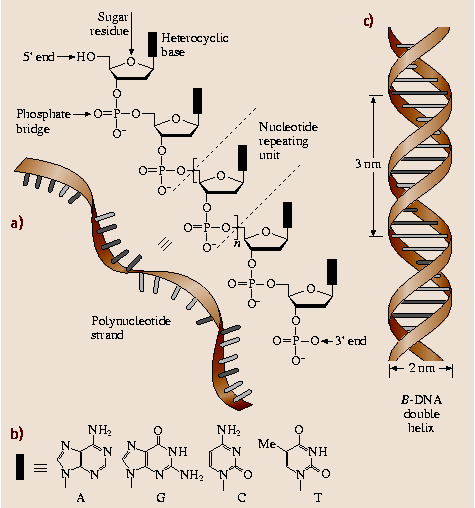 A978-3-540-29857-1_2_Fig1_HTML.png