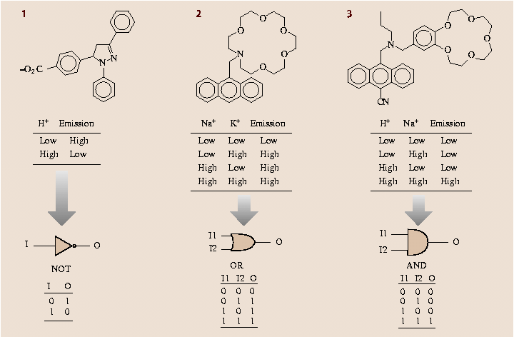 A978-3-540-29857-1_2_Fig6_HTML.png