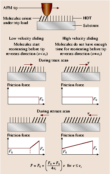 A978-3-540-29857-1_34_Fig16_HTML.png