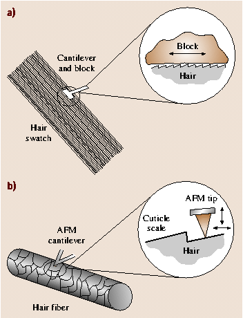 A978-3-540-29857-1_40_Fig13_HTML.png