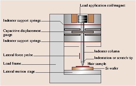 A978-3-540-29857-1_40_Fig15_HTML.png