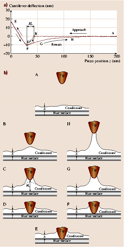 A978-3-540-29857-1_40_Fig20_HTML.png