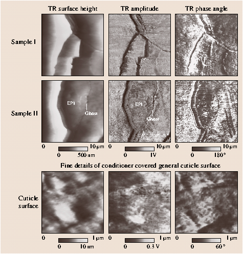 A978-3-540-29857-1_40_Fig26_HTML.png