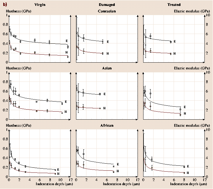 A978-3-540-29857-1_40_Fig29_HTML.png