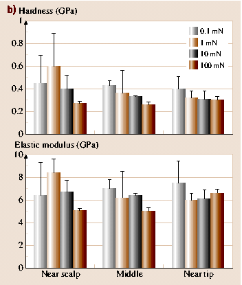 A978-3-540-29857-1_40_Fig31_HTML.png