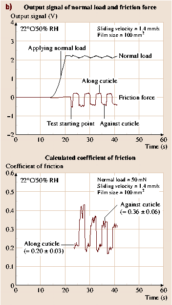 A978-3-540-29857-1_40_Fig42_HTML.png