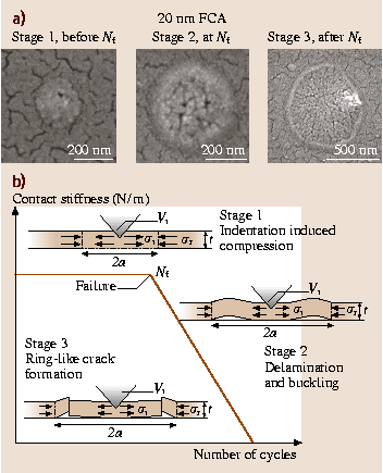 A978-3-540-29857-1_42_Fig15_HTML.png