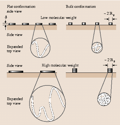 A978-3-540-29857-1_44_Fig4_HTML.png