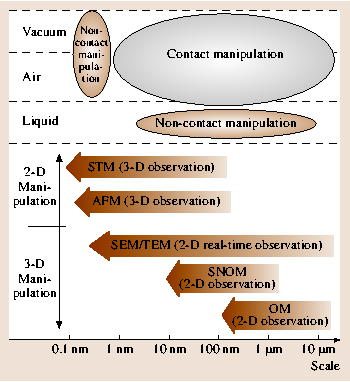 A978-3-540-29857-1_49_Fig3_HTML.png