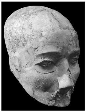 Figure 8.3 Conserved plastered skull, Jericho (Kenyon Jericho Archive held at University College London). Image by permission of the Kenyon Jericho Archive