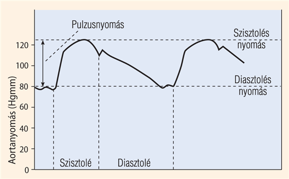 Az artériás nyomásingadozások