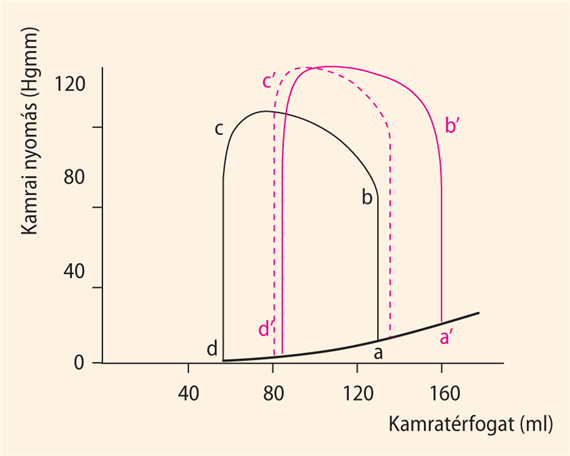 Starling „szívtörvénye” a munkadiagrammok tükrében