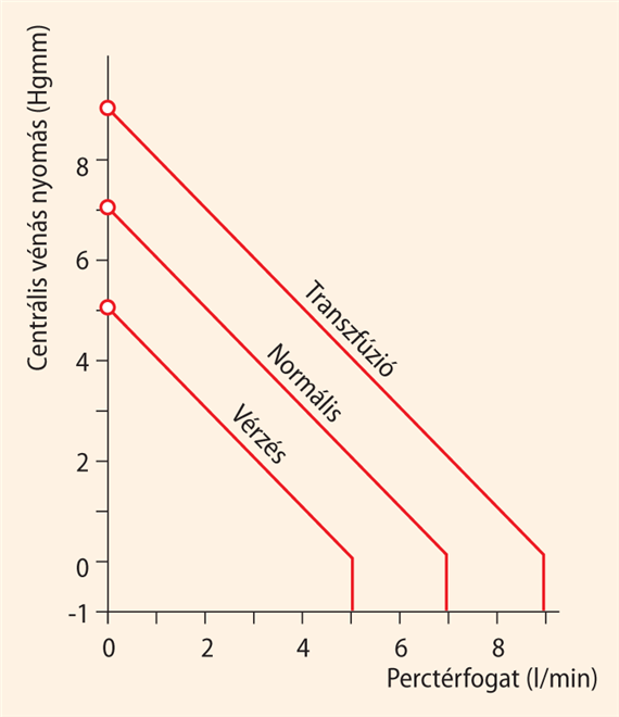 A perctérfogat és a centrális vénás nyomás összefüggése (vascularis funkciós összefüggés)