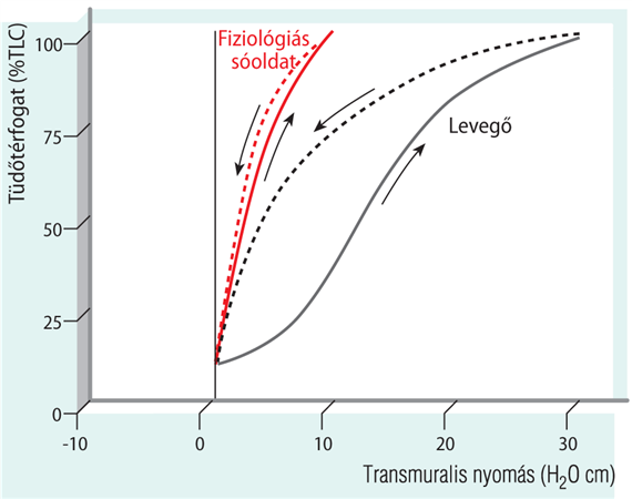 A transmuralis nyomás és a tüdőtérfogat összefüggése