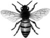 Worker Bee Press Logo