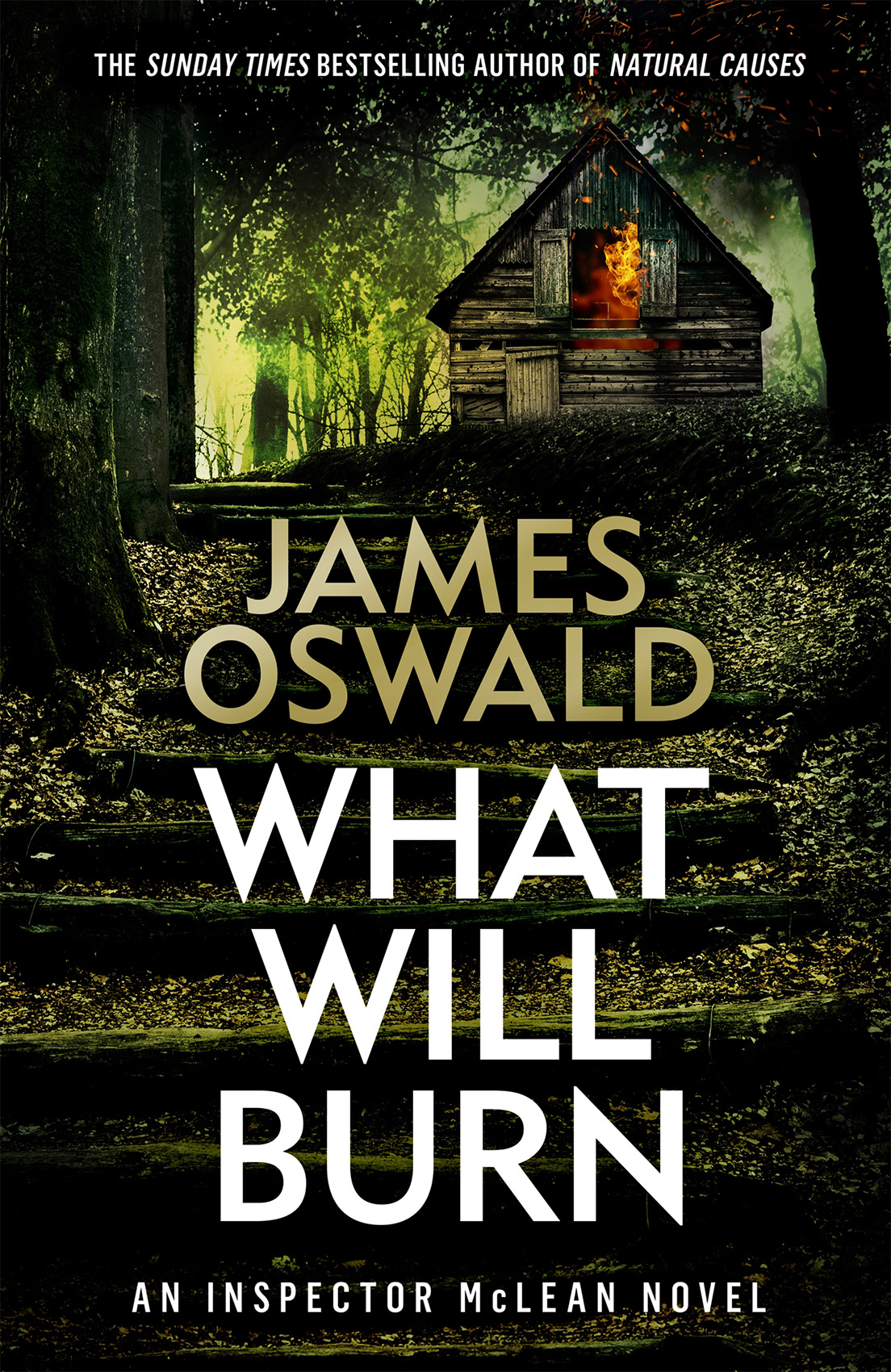 WWBurn_cover.jpg