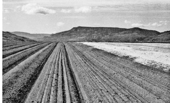 An aerial view of Chai-Na-Ta’s Schellers Ranch, a 92-acre ginseng farm under polypropylene shade in Lillooet, British Columbia...