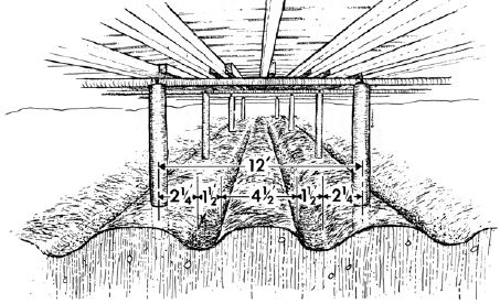 Spacing of beds, drainage trenches, and posts...