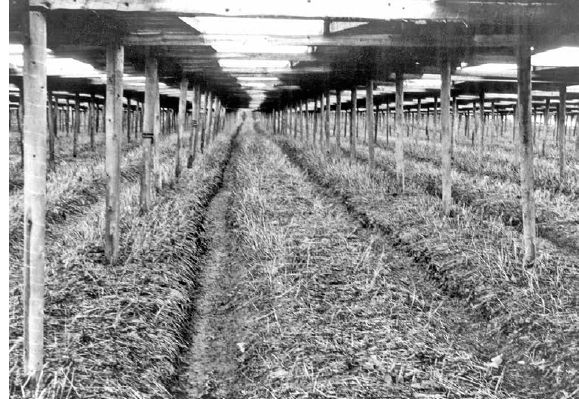 Stacking shade structure in winter to avoid breakage from snow load...