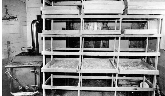 Drying rack with moveable screen-bottomed trays...