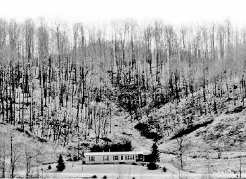 The hillside (in late fall) where Oscar Wood grew his green gold...