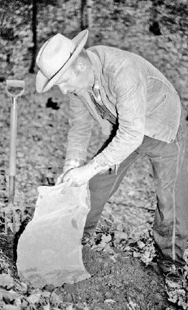 Oscar buries a stratification bag fashioned from aluminum screen filled with a seed/sand mixture...