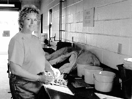 Jeanine Davis propagating botanicals in 2001 at the North Carolina State University Mountain Horticultural Crops Research Station in Mills River, North Carolina...