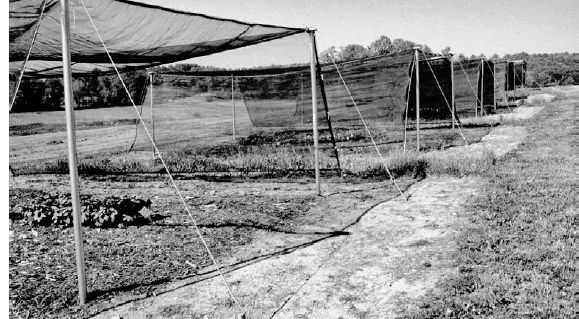 Little polypropylene shade structures where we grew goldenseal and other woodland medicinals under different levels of shade...