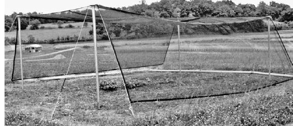 Shade structure suitable for growing ramps...