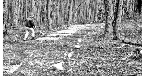 Susan Bryson raking in limestone for a research study on ramps...