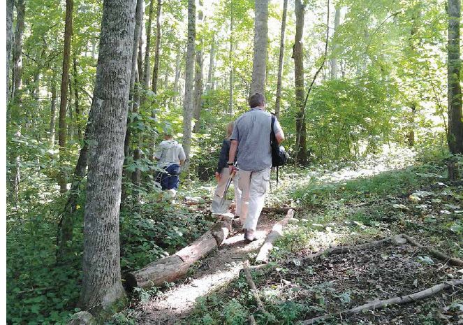 Visitors touring the woodland gardens at the research station...