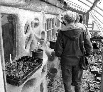 Shoppers at one of Joe’s greenhouses...