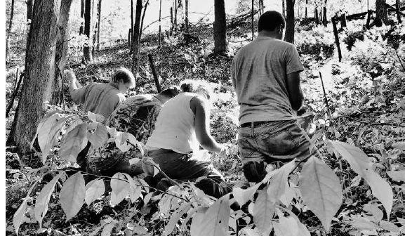 Sometimes the best way to harvest roots is on your hands and knees...