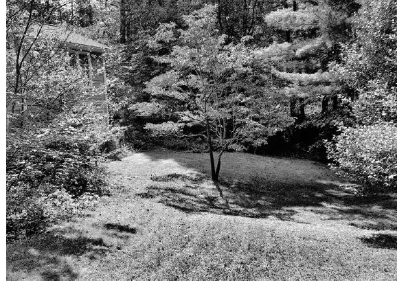 There is a sunny, grassy lawn area in the backyard...