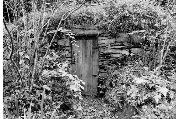 There are many special places on Ceara’s property, like this beautiful root cellar she had built into the hillside...