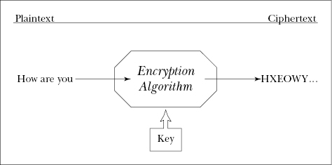 c11-fig-0001