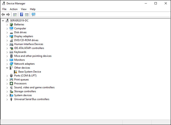 Screen capture depicting Device Manager on Windows Server 2019.