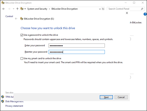 Screen capture depicting  BitLocker Drive Encryption window with password option.