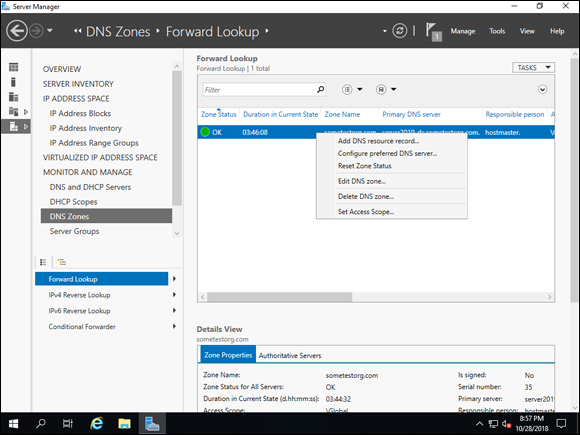 Screen capture depicting Server Manager screen with DNS Zones screen drop-down options.