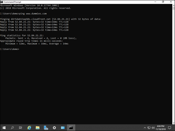 Screen capture depicting ping utility command in Command Prompt.