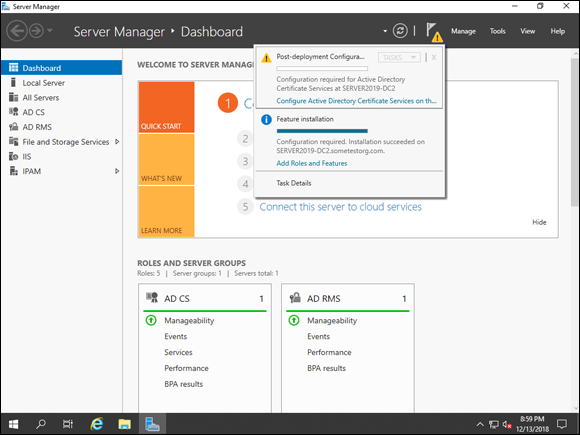 Screen capture depicting Server Manager with Feature installation service.