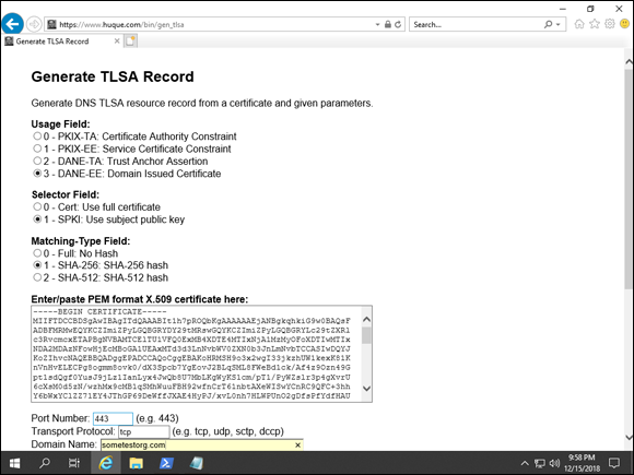 Screen capture depicting https://www.huque.com/bin/gen_tlsa screen with TLSA Generator page.