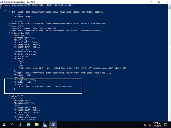 Screen capture depicting docker inspect <containername> command output in PowerShell.